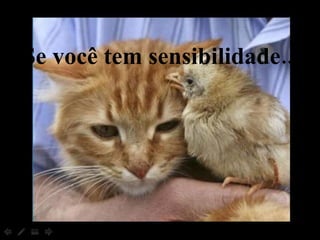 Se você tem sensibilidade... 