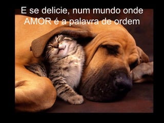 E se delicie, num mundo onde AMOR é a palavra de ordem 