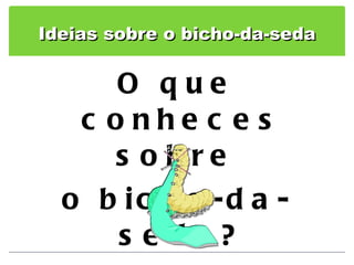 Ideias sobre o bicho-da-seda O que conheces sobre  o bicho-da-seda? 