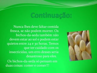 Continuação: Nunca lhes deve faltar comida fresca, se não podem morrer. Os bichos-da-seda também não devem estar ao sol e podem estar quietos entre 24 e 30 horas. Temos que ter cuidado com os insecticidas, um erro desses seria desastroso para eles.    Os bichos-da-seda só pensam em duas coisas: comer e comer!!!