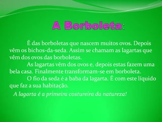 A Borboleta:            É das borboletas que nascem muitos ovos. Depois vêm os bichos-da-seda. Assim se chamam as lagartas que vêm dos ovos das borboletas.            As lagartas vêm dos ovos e, depois estas fazem uma bela casa. Finalmente transformam-se em borboleta.            O fio da seda é a baba da lagarta. É com este líquido que faz a sua habitação.    A lagarta é a primeira costureira da natureza!