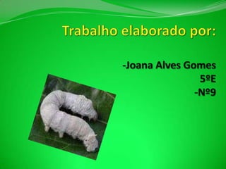 Trabalho elaborado por:-Joana Alves Gomes5ºE-Nº9