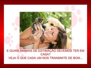 E QUAIS ANIMAIS DE ESTIMAÇÃO DEVEMOS TER EM CASA? VEJA O QUE CADA UM NOS TRANSMITE DE BOM... 