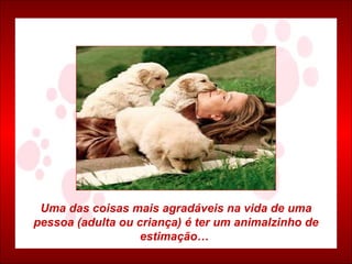 Uma das coisas mais agradáveis na vida de uma pessoa (adulta ou criança) é ter um animalzinho de estimação…   