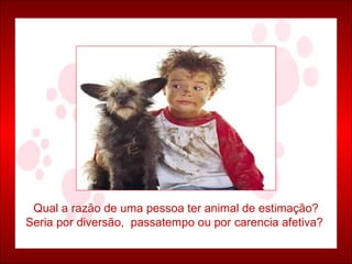 Qual a razão de uma pessoa ter animal de estimação? Seria por diversão,  passatempo ou por carencia afetiva?  