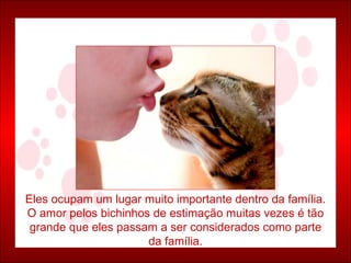 Eles ocupam um lugar muito importante dentro da família. O amor pelos bichinhos de estimação muitas vezes é tão grande que eles passam a ser considerados como parte da família. 