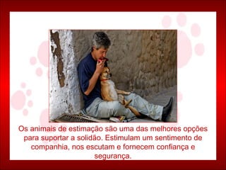 Os animais de estimação são uma das melhores opções para suportar a solidão. Estimulam um sentimento de companhia, nos escutam e fornecem confiança e segurança. 