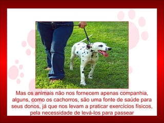 Mas os animais não nos fornecem apenas companhia, alguns, como os cachorros, são uma fonte de saúde para seus donos, já que nos levam a praticar exercícios físicos, pela necessidade de levá-los para passear 