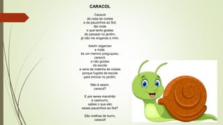 CARACOL
Caracol
da casa às costas
e de pauzinhos ao Sol,
tão mole
e que tanto gostas
de passear no jardim,
já não me enganas a mim.
Assim vagaroso
e mole,
és um menino preguiçoso,
caracol,
e não gostas
da escola
e vens de malinha às costas
porque fugiste da escola
para brincar no jardim.
Não é assim,
caracol?
E por seres mandrião
e casmurro,
sabes o que são
esses pauzinhos ao Sol?
São orelhas de burro,
caracol!
 