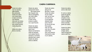 Gosto da cabra
com ar pacato,
pêlo barato,
tão pobrezita.
Gosto da cabra
com duas tetas
e dois cornichos
voz feiazita,
mas sem as tretas
nem os caprichos
dos outros bichos,
nada esquisita.
Gosto da cabra,
acho-a bonita.
Gosto da cabra
porque tem fome
- tem tanta fome!
Se ninguém der,
não se atrapalha,
vai onde calha
para comer
e tudo come,
ervas ou palha
ou o que houver.
Gosto da cabra
porque trabalha
para viver:
desce ao barranco,
sobe ao penedo,
num passo franco,
sempre p´rá frente,
sempre sem medo.
Gosto da cabra,
acho-a valente.
Gosto da cabra
até por ter
tão feio o nome.
Gosto da cabra
só por saber
que, se eu tiver
um dia fome
e me agachar
debaixo dela
para mamar,
eu já sei que ela
fica quieta,
não vai fugir
nem dar um grito:
sabe fingir
que uma pessoa
mamando a teta
é um cabrito.
Gosto da cabra,
acho-a tão boa!
E como a cabra
gosta da gente,
cabra cabrita
simples e boa,
nada esquisita,
como é valente,
acho-a bonita,
gosto da cabra.
Gosto da cabra,
amiga minha,
amiga cabra,
cabra amiguinha,
cabra cabrinha.
CABRA CABRINHA
 