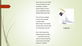 Com o bico curvo p´ra baixo
e outro de penas em cima
da cabeça, a imitá-lo,
branca catatua, eu acho
que do papagaio és prima:
também falas quando falo.
Com um bico na cabeça
e voz de cana rachada,
ó catatua infeliz,
falas sempre com a pressa
de quem fala e não diz nada
ou não percebe o que diz.
Com o bico mesmo bico
catas as penas e as patas,
- que triste mania a tua.
Junto a ti é que eu não fico,
a mim é que tu não catas…
Cata-te a ti, catatua!
CATATUA
 