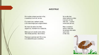 AVESTRUZ
Em muitas coisas que tem e faz,
o avestruz é um rei, um ás.
É a maior ave, saibam vocês,
e vê mais longe que a águia talvez.
No meio da selva vive feliz:
caçam-no, montam-no e nada diz.
Mais que um cavalo corre veloz.
Tem lindas plumas, não é feroz.
Pescoço e pernas sem fim e nus,
e a cabecinha que o avestruz
lá no alto traz
(dois metros ou três)
e só por um triz
não voa… é atroz
numa ave de truz.
Mas o avestruz
acha a vida boa
só porque não sabe
que é ave
e não voa.
 