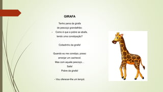GIRAFA
Tenho pena da girafa
de pescoço grandalhão:
- Como é que a pobre se abafa,
tendo uma constipação?
Coitadinho da girafa!
Quando eu me constipo, posso
arranjar um cachecol.
Mas com aquele pescoço…
Safa!
Pobre da girafa!
- Vou oferecer-lhe um lençol.
 