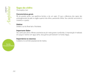Sapo-de-chifre
   Amphibia
  ORDEM

                     Proceratophrys boiei

                     Características gerais
                     Rã de grande porte, sua aparência lembra a de um sapo. O que a diferencia dos sapos são
                     prolongamentos da pele na região superior dos olhos, parecendo chifres. Seu colorido varia entre o
                     cinzento e o pardo.

                     Habitat
                     Desde o sul do Brasil até o Nordeste.

                     Importante Saber
                     Seu canto para atrair a fêmea caracteriza-se por notas graves e profundas. A reprodução é realizada
                     em poças e riachos com água calma. Seus girinos permanecem no fundo d’água.

                     Importância na natureza
                     Colabora no controle populacional de insetos.
     Família
CYCLORAMPHIDAE




               232
 