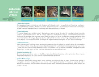 Ordem Marsupialia
     Os marsupiais surgiram no início do período Cretáceo, na América do Norte e Europa Ocidental. A partir daí, espalharam-
     se para a América do Sul, África, Antártica e Austrália. A ordem marsupialia é caracterizada pela presença de um marsúpio,
     ou seja, uma bolsa localizada no ventre, responsável pelo desenvolvimento dos filhotes.

     Ordem Edentata
     As espécies dessa ordem evoluíram a partir dos insetívoros (animais que se alimentam de insetos) primitivos no período
     Cretáceo. Especializaram-se numa dieta de formigas e térmitas, abundantes nos trópicos. Disseminaram-se bastante na
     América do Sul, enquanto este continente estava isolado da América do Norte. Um edentato possui grandes garras, para
     penetrar em colônias de formigas. Depois de aberta a colônia, lambe os insetos com sua longa língua coberta por uma saliva
     muito pegajosa. No caso dos tamanduás, as formigas são engolidas inteiras e esmagadas em uma região do estômago.

     Ordem Carnivora
     Alguns mamíferos são carnívoros, ou seja, se alimentam de animais ou de parte deles. Por isso seus dentes são especializados
     para matar e cortar as presas. Suas pernas são adaptadas para permitir a velocidade necessária para alcançar suas presas.
     Grande parte dos carnívoros é semi-arborícola (possui a capacidade de subir em árvores) ou terrestre, mas algumas espécies
     desta ordem, como as focas e os leões marinhos, especializaram-se para explorar o mar.

     Ordem Perissodactyla
     O único representante dessa ordem no Brasil é a anta ou tapir. Os indivíduos dessa ordem apresentam dedos ímpares,
     desiguais e protegidos por um casco. Possuem hábitos alimentares herbívoros.

     Ordem Artiodactyla
     Os membros dessa ordem possuem dedos pares, simétricos, em número de dois ou quatro. A dentição das espécies é
     incompleta e os dentes se especializaram para arrancar e triturar partes de plantas. Na maioria das espécies da ordem
     Artiodactyla, os machos possuem chifres, como é o caso dos veados. Habitam diversos ecossistemas, desde florestas até
     campos e cerrado.




14
 