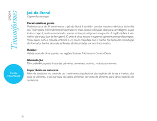 Jaó-do-litoral
Tinamiformes
ORDEM

                    Crypturellus noctivagus

                    Características gerais
                    Medindo cerca de 34 centímetros o jaó-do-litoral é também um dos maiores indivíduos da família
                    dos Tinamídeos. Normalmente encontrado no chão, possui coloração ideal para camuflagem: quase
                    todo o corpo é pardo-amarronzado, apenas a cabeça é um pouco enegrecida. A região da face é ver-
                    melho-alaranjada (cor de ferrugem). O peito é cinza escuro e as pernas apresentam manchas negras.
                    Possui cauda curta e robusta. A fêmea é um pouco mais clara que o macho. Na época de reprodução
                    são formados haréns de onde as fêmeas são fecundadas por um único macho.

                    Habitat
                    Habita locais de clima quente, nas regiões Sudeste, Nordeste e Centro-Oeste.

                    Alimentação
                    Têm preferência pelos frutos das palmeiras, sementes, aranhas, moluscos e vermes.

                    Importância na natureza
  Família           Além de colaborar no controle do crescimento populacional das espécies de larvas e insetos, dos
TINAMIDAE           quais se alimenta, o jaó participa da cadeia alimentar, servindo de alimento para várias espécies de
                    carnívoros.




               76
 