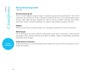 Garça-branca-grande
Ciconiiformes
ORDEM

                     Ardea alba

                     Características gerais
                     Com um andar elegante, passadas longas e cuidadosas a garça-branca-grande pode medir até 75
                     centímetros de comprimento. Possui coloração completamente branca, só é quebrada pelo amarelo
                     do bico e pelo negro das patas. Quando voa, estica as pernas e encolhe o pescoço. Desconfiada,
                     está sempre atenta a possíveis predadores ou a alguma oportunidade de capturar alimento.

                     Habitat
                     Pode ser encontrada nas bordas de lagos, rios e banhados, geralmente em busca de alimentos.

                     Alimentação
                     Por se alimentarem de peixes, algumas vezes podem causar danos a piscicultura, sendo portanto
                     perseguidas. Além de peixes alimenta-se também de anfíbios, répteis e invertebrados, geralmente
                     capturados dentro da água.

                     Importância na natureza
  Família            As garças participam no controle populacional de espécies das quais se alimenta, ajudando na manu-
ARDEIDAE             tenção do ambiente.




                80
 