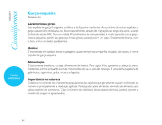 Garça-vaqueira
Ciconiiformes
ORDEM

                     Bubulcus ibis

                     Característcas gerais
                     Essa espécie de garça é originária da África e da Espanha meridional. Ao contrário de outras espécies, a
                     garça-vaqueira foi introduzida no Brasil naturalmente, através de migrações ao longo dos anos, a partir
                     do final do século XIX. Tem em média 49 centímetros de comprimento, é muito parecida com a garça-
                     branca-pequena, porém seu pescoço é mais grosso, parecido com um papo. É totalmente branca, com
                     o bico, a íris e os dedos pardacentos.

                     Habitat
                     É encontrada em campos secos e pastagens, quase sempre na companhia do gado, dai nasceu o nome
                     popular de garça-vaqueira.

                     Alimentação
                     É basicamente insetívora, ou seja, alimenta-se de insetos. Para capturá-los, aproxima a cabeça da presa,
                     mantendo-a firme enquanto executa movimentos de vai-e-vem do pescoço. É uma ótima caçadora de
                     gafanhotos, cigarrinhas, grilos, moscas e lagartas.
  Família
ARDEIDAE             Importância na natureza
                     Colabora no controle do crescimento populacional das espécies que geralmente causam incômodo ao
                     homem e principalmente a produção agrícola. Participa da cadeia alimentar, servindo de alimento para
                     várias espécies de carnívoros. Caso o número de indivíduos desta espécie diminua, poderá ocorrer a
                     invasão de pragas na agropecuária.




                84
 