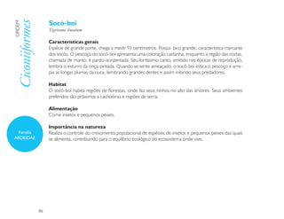 Socó-boi
Ciconiiformes
ORDEM

                     Tigrisoma lineatum

                     Características gerais
                     Espécie de grande porte, chega a medir 93 centímetros. Possui bico grande, característica marcante
                     dos socós. O pescoço do socó-boi apresenta uma coloração castanha, enquanto a região das costas,
                     chamada de manto, é pardo-acinzentada. Seu fortíssimo canto, emitido nas épocas de reprodução,
                     lembra o esturro da onça-pintada. Quando se sente ameaçado, o socó-boi estica o pescoço e arre-
                     pia as longas plumas da nuca, lembrando grandes dentes e assim inibindo seus predadores.

                     Habitat
                     O socó-boi habita regiões de florestas, onde faz seus ninhos no alto das árvores. Seus ambientes
                     preferidos são próximos a cachoeiras e regiões de serra.

                     Alimentação
                     Come insetos e pequenos peixes.

                     Importância na natureza
  Família            Realiza o controle do crescimento populacional de espécies de insetos e pequenos peixes das quais
ARDEIDAE             se alimenta, contribuindo para o equilíbrio ecológico do ecossistema onde vive.




                86
 