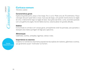 Curicaca-comum
   Ciconiiformes
   ORDEM

                        Theristicus caudatus

                        Características gerais
                        Espécie de grande porte, possui o bico longo, fino e curvo. Mede cerca de 70 centímetros. Possui
                        coloração clara por quase todo o corpo. Suas asas são largas, com grande mancha branca na região
                        de cima, e inteiramente negra na região de baixo. Seus gritos são fortes, curtos, do timbre parecido
                        com uma galinha-de-angola. Ave de hábitos diurnos, costuma planar em grandes altitudes.

                        Habitat
                        É encontrada no cerrado e em campos gerais, principalmente onde há queimadas, pois aproveita o
                        desespero dos insetos que fogem do fogo para capturá-los.

                        Alimentação
                        Gafanhotos, aranhas, centopéias, lagartixas, cobras e ratos.

                        Importância na natureza
                        Colabora no controle do crescimento populacional das espécies de roedores, gafanhotos e aranhas,
      Família           que geralmente causam “incômodos” ao homem.
THRESKIORNITHIDAE




                   90
 