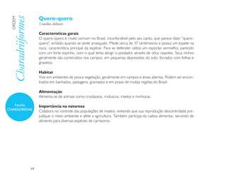 Quero-quero
  Charadriiformes
  ORDEM

                         Vanellus chilensis

                         Características garais
                         O quero-quero é muito comum no Brasil, inconfundível pelo seu canto, que parece dizer “quero-
                         quero”, emitido quando se sente ameaçado. Mede cerca de 37 centímetros e possui um topete na
                         nuca, característica principal da espécie. Para se defender utiliza um esporão vermelho, parecido
                         com um forte espinho, com o qual tenta atingir o predador através de vôos rasantes. Seus ninhos
                         geralmente são construídos nos campos, em pequenas depressões do solo, forrados com folhas e
                         gravetos.

                         Habitat
                         Vive em ambientes de pouca vegetação, geralmente em campos e áreas abertas. Podem ser encon-
                         trados em banhados, pastagens, gramados e em praias de muitas regiões do Brasil.

                         Alimentação
                         Alimenta-se de animais como crustáceos, moluscos, insetos e minhocas.

   Família               Importância na natureza
CHARADRIIDAE             Colabora no controle das populações de insetos, evitando que sua reprodução descontrolada pre-
                         judique o meio ambiente e afete a agricultura. Também participa da cadeia alimentar, servindo de
                         alimento para diversas espécies de carnívoros.




                    68
 