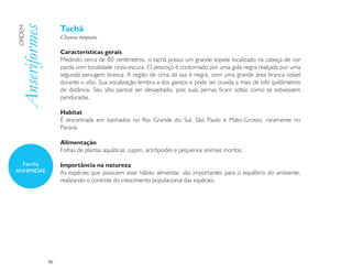 Tachã
Anseriformes
ORDEM

                    Chauna torquata

                    Características gerais
                    Medindo cerca de 80 centímetros, o tachã possui um grande topete localizado na cabeça de cor
                    parda com tonalidade cinza-escura. O pescoço é contornado por uma gola negra realçada por uma
                    segunda penugem branca. A região de cima da asa é negra, com uma grande área branca visível
                    durante o vôo. Sua vocalização lembra a dos gansos e pode ser ouvida a mais de três quilômetros
                    de distância. Seu vôo parece ser desajeitado, pois suas pernas ficam soltas como se estivessem
                    penduradas.

                    Habitat
                    É encontrada em banhados no Rio Grande do Sul, São Paulo e Mato-Grosso, raramente no
                    Paraná.

                    Alimentação
                    Folhas de plantas aquáticas, cupim, artrópodes e pequenos animais mortos.

  Família           Importância na natureza
ANHIMIDAE           As espécies que possuem esse hábito alimentar, são importantes para o equilíbrio do ambiente,
                    realizando o controle do crescimento populacional das espécies.




               96
 