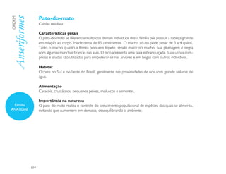 Pato-do-mato
Anseriformes
ORDEM

                     Cairina moschata

                     Características gerais
                     O pato-do-mato se diferencia muito dos demais indivíduos dessa família por possuir a cabeça grande
                     em relação ao corpo. Mede cerca de 85 centímetros. O macho adulto pode pesar de 3 a 4 quilos.
                     Tanto o macho quanto a fêmea possuem topete, sendo maior no macho. Sua plumagem é negra
                     com algumas manchas brancas nas asas. O bico apresenta uma faixa esbranquiçada. Suas unhas com-
                     pridas e afiadas são utilizadas para empoleirar-se nas árvores e em brigas com outros indivíduos.

                     Habitat
                     Ocorre no Sul e no Leste do Brasil, geralmente nas proximidades de rios com grande volume de
                     água.

                     Alimentação
                     Caracóis, crustáceos, pequenos peixes, moluscos e sementes.

                     Importância na natureza
 Família             O pato-do-mato realiza o controle do crescimento populacional de espécies das quais se alimenta,
ANATIDAE             evitando que aumentem em demasia, desequilibrando o ambiente.




               104
 
