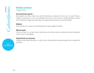 Urubu-comum
 Cathartiformes
 ORDEM

                        Corag yps atratus

                        Características gerais
                        Essa espécie de urubu mede cerca de 60 centímetros, pesando em torno de 1,6 quilo. Possui a
                        cabeça e o pescoço nus, com uma coloração cinza-escura. Ao voar, tem o hábito de planar, vez por
                        outra, batendo as largas asas adornadas com algumas penas brancas nas extremidades.

                        Habitat
                        É encontrado em campos e áreas florestadas de várias regiões do Brasil.

                        Alimentação
                        Como o urubu-rei, o urubu-comum alimenta-se de animais mortos e sobras de animais já abatidos,
                        mesmo que em putrefação.

                        Importância na natureza
                         Devido a esse hábito alimentar, o urubu-comum desempenha importante papel como saneador do
                        ambiente.
   Família
CATHARTIDAE




                  108
 