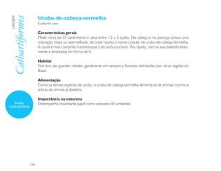 Urubu-de-cabeça-vermelha
 Cathartiformes
 ORDEM

                        Cathartes aura

                        Características gerais
                        Mede cerca de 55 centímetros e pesa entre 1,2 a 2 quilos. Na cabeça e no pescoço possui uma
                        coloração rósea ou avermelhada, de onde nasceu o nome popular de urubu-de-cabeça-vermelha.
                        A cauda é mais comprida e estreita que a do urubu-comum. Voa rápido, com as asas batendo lenta-
                        mente e levantadas em forma de V.

                        Habitat
                        Vive fora das grandes cidades, geralmente em campos e florestas distribuídas por várias regiões do
                        Brasil.

                        Alimentação
                        Como as demais espécies de urubu, o urubu-de-cabeça-vermelha alimenta-se de animais mortos e
                        sobras de animais já abatidos.

                        Importância na natureza
   Família              Desempenha importante papel como saneador do ambiente.
CATHARTIDAE




                  110
 