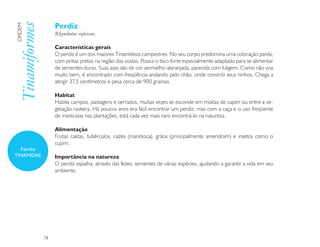 Perdiz
Tinamiformes
ORDEM

                    Rhynchotus rufescens

                    Características gerais
                    O perdiz é um dos maiores Tinamídeos campestres. No seu corpo predomina uma coloração parda,
                    com pintas pretas na região das costas. Possui o bico forte especialmente adaptado para se alimentar
                    de sementes duras. Suas asas são de cor vermelho-alaranjada, parecida com fuligem. Como não voa
                    muito bem, é encontrado com freqüência andando pelo chão, onde constrói seus ninhos. Chega a
                    atingir 37,5 centímetros e pesa cerca de 900 gramas.

                    Habitat
                    Habita campos, pastagens e cerrados, muitas vezes se esconde em moitas de capim ou entre a ve-
                    getação rasteira. Há poucos anos era fácil encontrar um perdiz, mas com a caça e o uso freqüente
                    de inseticidas nas plantações, está cada vez mais raro encontrá-lo na natureza.

                    Alimentação
                    Frutas caídas, tubérculos, raízes (mandioca), grãos (principalmente amendoim) e insetos como o
                    cupim.
  Família
TINAMIDAE           Importância na natureza
                    O perdiz espalha, através das fezes, sementes de várias espécies, ajudando a garantir a vida em seu
                    ambiente.




               74
 