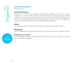 Coruja-buraqueira
Strigiformes
ORDEM

                     Athene cunicularia

                     Características gerais
                     Para algumas culturas, a coruja simboliza o conhecimento, a sabedoria; para outros, a morte ou
                     a ligação com o mundo espiritual. Dentre as várias espécies de corujas, algumas são bastante
                     conhecidas, como é o caso da coruja-buraqueira. Com cerca de 25 centímetros é freqüentemente
                     observada no solo. Seus hábitos são diurnos, ao contrário da maioria das corujas. A plumagem é da
                     cor de terra avermelhada. É encontrada com freqüência sobre cupinzeiros.

                     Habitat
                     Vive em campos, pastos, gramados de áreas urbanas e restingas de quase todo o Brasil.

                     Alimentação
                     Come com freqüência artrópodes como besouros, mas também pequenas aves, répteis e anfíbios.

                     Importância na natureza
                     A coruja-buraqueira realiza o controle populacional de espécies das quais se alimenta, de modo a
  Família            evitar o desequilíbrio ecológico.
STRIGIDAE




               124
 