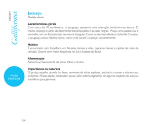 Jacuaçu
Galliformes
ORDEM

                    Penelope obscura

                    Características gerais
                    Com cerca de 70 centímetros, o jacuguaçu apresenta uma coloração verde-bronze escura. O
                    manto, pescoço e peito são levemente esbranquiçados e as patas negras. Possui uma papada nua e
                    vermelha, em um formato mais ou menos triangular. Como os demais indivíduos da família Cracidae,
                    o jacuguaçu possui hábitos típicos, como o de sacudir a cabeça constantemente.

                    Habitat
                    É encontrado com freqüência em florestas densas e altas, capoeiras baixas e capões de mata de
                    cerrado. Ocorre com maior freqüência no Sul e Sudeste do Brasil.

                    Alimentação
                    Alimenta-se basicamente de frutas, folhas e brotos.

                    Importância na natureza
                    O jacuaçu espalha, através das fezes, sementes de várias espécies, ajudando a manter a vida em seu
 Família            ambiente. Muitas plantas necessitam passar pelo sistema digestório de algumas espécies de aves ou
CRACIDAE            mamíferos para germinar.




              126
 