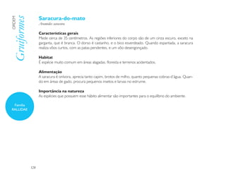 Saracura-do-mato
Gruiformes
ORDEM

                   Aramides saracura

                   Características gerais
                   Mede cerca de 35 centímetros. As regiões inferiores do corpo são de um cinza escuro, exceto na
                   garganta, que é branca. O dorso é castanho, e o bico esverdeado. Quando espantada, a saracura
                   realiza vôos curtos, com as patas pendentes, e um vôo desengonçado.

                   Habitat
                   É espécie muito comum em áreas alagadas, floresta e terrenos acidentados.

                   Alimentação
                   A saracura é onívora, aprecia tanto capim, brotos de milho, quanto pequenas cobras-d’água. Quan-
                   do em áreas de gado, procura pequenos insetos e larvas no estrume.

                   Importância na natureza
                   As espécies que possuem esse hábito alimentar são importantes para o equilíbrio do ambiente.

 Família
RALLIDAE




             128
 