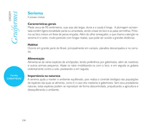 Seriema
 Gruiformes
ORDEM

                    Cariama cristata

                    Características gerais
                    Mede cerca de 90 centímetros, suas asas são largas, duras e a cauda é longa. A plumagem acinzen-
                    tada contém ligeira tonalidade parda ou amarelada, sendo a base do bico e as patas vermelhas. Próxi-
                    mo ao bico cresce um feixe de penas eriçadas. Além do olhar ameaçador, o que chama a atenção na
                    seriema é o canto, muito parecido com longas risadas, que pode ser ouvido a grandes distâncias.

                    Habitat
                    Ocorre em grande parte do Brasil, principalmente em campos, planaltos descampados e no cerra-
                    do.

                    Alimentação
                    Alimenta-se de várias espécies de artrópodes, tendo preferência por gafanhotos, além de roedores
                    e outros animais pequenos. Abate os ratos imobilizando-os com o bico, e em seguida os golpeia
                    violentamente contra o solo, pisoteando-o em seguida.

  Família           Importância na natureza
CARIAMIDAE          A seriema ajuda a manter o ambiente equilibrado, pois realiza o controle biológico das populações
                    de espécies das quais se alimenta, como é o caso dos roedores e gafanhotos. Sem seus predadores
                    naturais, estas espécies podem se reproduzir de forma descontrolada, prejudicando a agricultura e
                    desequilibrando o ambiente.




              130
 