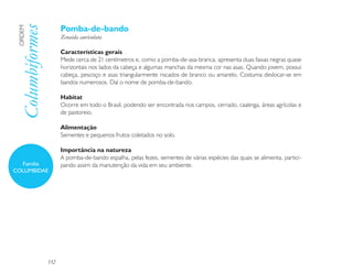 Pomba-de-bando
 Columbiformes
 ORDEM

                       Zenaida auriculata

                       Características gerais
                       Mede cerca de 21 centímetros e, como a pomba-de-asa-branca, apresenta duas faixas negras quase
                       horizontais nos lados da cabeça e algumas manchas da mesma cor nas asas. Quando jovem, possui
                       cabeça, pescoço e asas triangularmente riscados de branco ou amarelo. Costuma deslocar-se em
                       bandos numerosos. Daí o nome de pomba-de-bando.

                       Habitat
                       Ocorre em todo o Brasil, podendo ser encontrada nos campos, cerrado, caatinga, áreas agrícolas e
                       de pastoreio.

                       Alimentação
                       Sementes e pequenos frutos coletados no solo.

                       Importância na natureza
                       A pomba-de-bando espalha, pelas fezes, sementes de várias espécies das quais se alimenta, partici-
  Família              pando assim da manutenção da vida em seu ambiente.
COLUMBIDAE




                 132
 