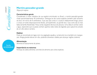 Martim-pescador-grande
 Coraciiformes
 ORDEM

                       Megaceryle torquata

                       Características gerais
                       Considerado o maior indivíduo de sua espécie encontrado no Brasil, o martim-pescador-grande
                       mede aproximadamente 40 centímetros. Distingue-se das outras espécies também pelo tamanho
                       do bico: em torno de 8 centímetros. Suas asas são curtas e a cauda é relativamente longa; possui
                       o corpo um tanto desproporcional devido, principalmente, ao grande bico. Suas cores são as mais
                       belas da família Alcedinidae. Possui ainda singulares técnicas de pescaria. Uma delas é vomitar sobre
                       a água, esperando que os peixes venham apanhar estes restos de digestão para capturá-los através
                       de um vôo veloz e certeiro.

                       Habitat
                       Pode ser encontrado em lagos com rica vegetação aquática, na beira de rios e também em mangue-
                       zais. Atinge grandes alturas em vôo, podendo atravessar cidades para alcançar regiões costeiras.

                       Alimentação
                       Alimenta-se basicamente de peixes.
   Família
ALCEDINIDAE            Importância na natureza
                       Participa da cadeia alimentar, servindo de alimento para várias espécies.




                 138
 