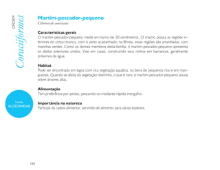 Martim-pescador-pequeno
 Coraciiformes
 ORDEM

                       Chloroceryle americana

                       Características gerais
                       O martim-pescador-pequeno mede em torno de 20 centímetros. O macho possui as regiões in-
                       feriores do corpo branca, com o peito acastanhado; na fêmea, essas regiões são amareladas, com
                       manchas verdes. Como os demais membros desta família, o martim-pescador-pequeno apresenta
                       os dedos anteriores unidos. Vive em casais, construindo seus ninhos em barrancos, geralmente
                       próximos da água.

                       Habitat
                       Pode ser encontrado em lagos com rica vegetação aquática, na beira de pequenos rios e em man-
                       guezais. Quando se afasta da vegetação ribeirinha, o que é raro, o martim-pescador-pequeno pousa
                       sobre árvores altas.

                       Alimentação
                       Tem preferência por peixes, pescando-os mediante rápido mergulho.

     Família           Importância na natureza
ALCEDINIDAE
                       Participa da cadeia alimentar, servindo de alimento para várias espécies.




                 140
 