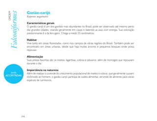 Gavião-carijó
 Falconiformes
 ORDEM

                       Rupornis magnirostris

                       Características gerais
                       O gavião-carijó é um dos gaviões mais abundantes no Brasil, pode ser observado até mesmo perto
                       das grandes cidades, voando geralmente em casais e batendo as asas com energia. Sua coloração
                       predominante é a da ferrugem. Chega a medir 35 centímetros.

                       Habitat
                       Vive tanto em áreas florestadas, como nos campos de várias regiões do Brasil. Também pode ser
                       encontrado em áreas urbanas, desde que haja muitas árvores e pequenos bosques onde possa
                       repousar.

                       Alimentação
                       Suas presas favoritas são os insetos, lagartixas, cobras e pássaros, além de morcegos que repousam
                       durante o dia.

                       Importância na natureza
     família           Além de realizar o controle do crescimento populacional de insetos e cobras, que geralmente causam
ACCIPITRIDAE
                       incômodo ao homem, o gavião-carijó participa da cadeia alimentar, servindo de alimento para várias
                       espécies de carnívoros.




                 114
 