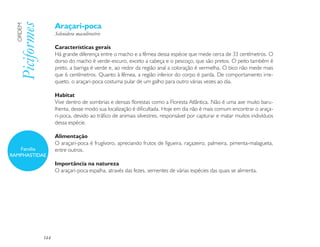 Araçari-poca
  Piciformes
  ORDEM

                     Selenidera maculirostris

                     Características gerais
                     Há grande diferença entre o macho e a fêmea dessa espécie que mede cerca de 33 centímetros. O
                     dorso do macho é verde-escuro, exceto a cabeça e o pescoço, que são pretos. O peito também é
                     preto, a barriga é verde e, ao redor da região anal a coloração é vermelha. O bico não mede mais
                     que 6 centímetros. Quanto à fêmea, a região inferior do corpo é parda. De comportamento irre-
                     quieto, o araçari-poca costuma pular de um galho para outro várias vezes ao dia.

                     Habitat
                     Vive dentro de sombrias e densas florestas como a Floresta Atlântica. Não é uma ave muito baru-
                     lhenta, desse modo sua localização é dificultada. Hoje em dia não é mais comum encontrar o araça-
                     ri-poca, devido ao tráfico de animais silvestres, responsável por capturar e matar muitos indivíduos
                     dessa espécie.

                     Alimentação
                     O araçari-poca é frugívoro, apreciando frutos de figueira, raçazeiro, palmeira, pimenta-malagueta,
   Família           entre outros.
RAMPHASTIDAE
                     Importância na natureza
                     O araçari-poca espalha, através das fezes, sementes de várias espécies das quais se alimenta.




               144
 