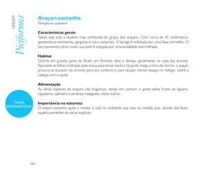 Araçari-castanho
  Piciformes
  ORDEM

                     Pteroglossus castanotis

                     Característcas gerais
                     Talvez seja esta a espécie mais conhecida do grupo dos araçaris. Com cerca de 45 centímetros,
                     apresenta as bochechas, garganta e nuca castanhas. A barriga é enfeitada por uma faixa vermelha. O
                     bico apresenta várias cores; sua base é realçada por uma tonalidade avermelhada.

                     Habitat
                     Ocorre em grande parte do Brasil, em florestas altas e densas, geralmente na copa das árvores.
                     Aproveita as folhas molhadas pela chuva para tomar banho. Quando chega a hora de dormir, o araçari
                     procura os buracos nas árvores para seu conforto e para ocupar menos espaço no refúgio, cobre a
                     cabeça com a cauda.

                     Alimentação
                     As várias espécies de araçaris são frugívoras, tendo em comum o gosto pelos frutos da figueira,
                     raçazeiros, palmeira e pimenta-malagueta, entre outros.

   Família           Importância na natureza
RAMPHASTIDAE         O araçari-castanho ajuda a manter a vida no ambiente que vive na medida que, através das fezes,
                     espalha sementes de várias espécies.




               146
 