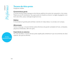 Tucano-de-bico-preto
  Piciformes
  ORDEM

                     Ramphastos vitellinus

                     Características gerais
                     O tucano-de-bico-preto distingue-se das demais espécies de tucanos por apresentar o bico preto.
                     Mede cerca de 45 centímetros. Seu papo pode ser amarelo ou branco; na região da garganta, e em
                     torno dos olhos, possui coloração de gema de ovo.

                     Habitat
                     É encontrado em grande parte do Brasil, vivendo em matas ciliares, no cerrado e em campos.

                     Alimentação
                     Como o tucanuçu, o tucano-de-bico-preto alimenta-se de grande variedade de frutos, artrópodes,
                     pequenos vertebrados, além de cupins.

                     Importância na natureza
                     Por meio das fezes, o tucano-de-bico-preto espalha pelo ambiente em que vive sementes de várias
                     espécies, das quais se alimenta.
   Família
RAMPHASTIDAE




               150
 