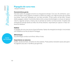 Papagaio-de-cara-roxa
 Psittaciformes
 ORDEM

                        Amazona brasiliensis

                        Características gerais
                        Esta bela espécie de papagaio encontra-se ameaçada de extinção. Com seus 36 centímetros, apre-
                        senta plumagem verde, garganta arroxeada e as laterais da cabeça, azul. Algumas penas são amarelas
                        nas pontas, outras são repassadas por uma faixa vermelha. O bico possui cor-de-chifre. Grupos
                        destes papagaios realizam movimentos diários entre as áreas de alimentação e os locais de repouso
                        noturno, seguindo sempre a mesma rota no período da manhã e no final da tarde. A espécie está
                        ameaçada de extinção devido ao tráfico de animais silvestres, responsável por capturar e matar cen-
                        tenas de indivíduos.

                        Habitat
                        O papagaio-de-cara-roxa vive em áreas de florestas. Apesar de ameaçado de extinção, é encontrado
                        com freqüência nas ilhas da baía de Paranaguá.

                        Alimentação
                        Sua alimentação constitui-se de flores, folhas e frutos.
   Família
PSITTACIDAE             Importância na natureza
                        Espalha, através das fezes, sementes de várias espécies. Muitas plantas necessitam passar pelo apare-
                        lho digestório das aves e mamíferos para germinar.




                  158
 