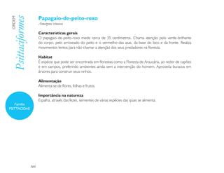 Papagaio-de-peito-roxo
 Psittaciformes
 ORDEM

                        Amazona vinacea

                        Características gerais
                        O papagaio-de-peito-roxo mede cerca de 35 centímetros. Chama atenção pelo verde-brilhante
                        do corpo, pelo arroxeado do peito e o vermelho das asas, da base do bico e da fronte. Realiza
                        movimentos lentos para não chamar a atenção dos seus predadores na floresta.

                        Habitat
                        É espécie que pode ser encontrada em florestas como a Floresta de Araucária, ao redor de capões
                        e em campos, preferindo ambientes ainda sem a intervenção do homem. Aproveita buracos em
                        árvores para construir seus ninhos.

                        Alimentação
                        Alimenta-se de flores, folhas e frutos.

                        Importância na natureza
                        Espalha, através das fezes, sementes de várias espécies das quais se alimenta.
   Família
PSITTACIDAE




                  160
 
