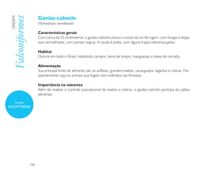 Gavião-caboclo
 Falconiformes
 ORDEM

                       Heterospizias meridionalis

                       Características gerais
                       Com cerca de 55 centímetros, o gavião-caboclo possui o corpo da cor ferrugem, com longas e largas
                       asas vermelhadas, com pontas negras. A cauda é preta, com alguns traços esbranquiçados.

                       Habitat
                       Ocorre em todo o Brasil, habitando campos, beira de brejos, manguezais e áreas de cerrado.

                       Alimentação
                       Sua principal fonte de alimento são os anfíbios, grandes insetos, caranguejos, lagartos e cobras. Fre-
                       qüentemente caça os animais que fogem dos incêndios nas florestas.

                       Importância na natureza
                       Além de realizar o controle populacional de insetos e cobras, o gavião-caboclo participa da cadeia
                       alimentar.

     Família
ACCIPITRIDAE




                 116
 