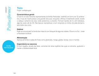 Tuim
 Psittaciformes
 ORDEM

                        Forpus xanthopterygius

                        Características gerais
                        O tuim é um dos menores representantes da família Psittacidae, medindo em torno de 12 centíme-
                        tros. A asa do macho possui uma grande área azul, enquanto a fêmea é totalmente verde, exceto
                        a cabeça e próximo da coxa, onde predomina o amarelo. Formam bandos de 5 a 20 indivíduos,
                        algumas vezes até de 50. Nas épocas reprodutivas o tuim empresta os ninhos do joão-de-barro,
                        para botar seus ovos.

                        Habitat
                        Pode ser encontrado na borda das matas ou em bosques de algumas cidades. Ocorre no Sul, , Leste
                        e Nordeste do Brasil.

                        Alimentação
                        Aprecia sementes e polpa de frutas como jabuticaba, manga, goiaba, laranja, coco e mamão.

                        Importância na natureza
   Família              O tuim espalha, através das fezes, sementes de várias espécies das quais se alimenta, ajudando a
PSITTACIDAE             manter a biodiversidade local.




                  166
 