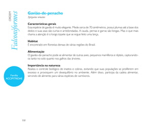 Gavião-de-penacho
 Falconiformes
 ORDEM

                       Spizaetus ornatus

                       Características gerais
                       Essa espécie de gavião é muito elegante. Mede cerca de 70 centímetros, possui plumas até a base dos
                       dedos e suas asas são curtas e arredondadas. A cauda, pernas e garras são longas. Mas o que mais
                       chama a atenção é o longo topete que se ergue feito uma lança.

                       Habitat
                       É encontrado em florestas densas de várias regiões do Brasil.

                       Alimentação
                       O gavião-de-penacho pode se alimentar de outras aves, pequenos mamíferos e répteis, capturando-
                       os tanto no solo quanto nos galhos das árvores.

                       Importância na natureza
                       Realiza o controle biológico de insetos e cobras, evitando que suas populações se proliferem em
                       excesso e provoquem um desequilíbrio no ambiente. Além disso, participa da cadeia alimentar,
   Família             servindo de alimento para várias espécies de carnívoros.
ACCIPITRIDAE




                 118
 
