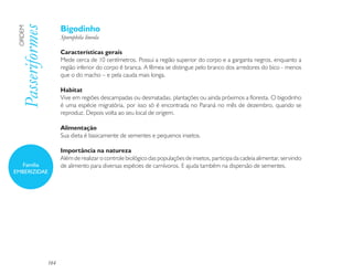 Bigodinho
 Passeriformes
 ORDEM

                       Sporophila lineola

                       Características gerais
                       Mede cerca de 10 centímetros. Possui a região superior do corpo e a garganta negros, enquanto a
                       região inferior do corpo é branca. A fêmea se distingue pelo branco dos arredores do bico - menos
                       que o do macho – e pela cauda mais longa.

                       Habitat
                       Vive em regiões descampadas ou desmatadas, plantações ou ainda próximos a floresta. O bigodinho
                       é uma espécie migratória, por isso só é encontrada no Paraná no mês de dezembro, quando se
                       reproduz. Depois volta ao seu local de origem.

                       Alimentação
                       Sua dieta é basicamente de sementes e pequenos insetos.

                       Importância na natureza
                       Além de realizar o controle biológico das populações de insetos, participa da cadeia alimentar, servindo
  Família              de alimento para diversas espécies de carnívoros. E ajuda também na dispersão de sementes.
EMBERIZIDAE




                 184
 