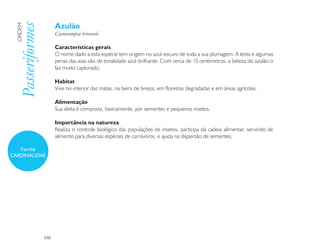 Azulão
  Passeriformes
 ORDEM

                        Cyanocompsa brissonii

                        Características gerais
                        O nome dado a esta espécie tem origem no azul-escuro de toda a sua plumagem. A testa e algumas
                        penas das asas são de tonalidade azul-brilhante. Com cerca de 15 centímetros, a beleza do azulão o
                        faz muito capturado.

                        Habitat
                        Vive no interior das matas, na beira de brejos, em florestas degradadas e em áreas agrícolas.

                        Alimentação
                        Sua dieta é composta, basicamente, por sementes e pequenos insetos.

                        Importância na natureza
                        Realiza o controle biológico das populações de insetos, participa da cadeia alimentar, servindo de
                        alimento para diversas espécies de carnívoros, e ajuda na dispersão de sementes.

   Família
CARDINALIDAE




                  190
 