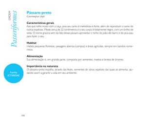 Pássaro-preto
Passeriformes
ORDEM

                      Gnorimopsar chopi

                      Características gerais
                      Ave que sofre muito com a caça, pois seu canto é melodioso e forte, além de reproduzir o canto de
                      outras espécies. Mede cerca de 22 centímetros e o seu corpo é totalmente negro, com um brilho de
                      seda. O nome graúna vem do fato desse pássaro aproveitar o ninho do joão-de-barro e do pica-pau
                      para fazer o seu.

                      Habitat
                      Habita pequenas florestas, paisagens abertas (campos) e áreas agrícolas, sempre em bandos nume-
                      rosos.

                      Alimentação
                      Sua alimentação é, em grande parte, composta por sementes, insetos e brotos de árvores.

                      Importância na natureza
                      O pássaro-preto espalha, através das fezes, sementes de várias espécies das quais se alimenta, aju-
  Família             dando assim a garantir a vida em seu ambiente.
ICTERIDAE




                198
 