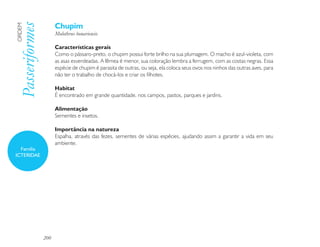 Chupim
Passeriformes
ORDEM

                      Molothrus bonariensis

                      Características gerais
                      Como o pássaro-preto, o chupim possui forte brilho na sua plumagem. O macho é azul-violeta, com
                      as asas esverdeadas. A fêmea é menor, sua coloração lembra a ferrugem, com as costas negras. Essa
                      espécie de chupim é parasita de outras, ou seja, ela coloca seus ovos nos ninhos das outras aves, para
                      não ter o trabalho de chocá-los e criar os filhotes.

                      Habitat
                      É encontrado em grande quantidade, nos campos, pastos, parques e jardins.

                      Alimentação
                      Sementes e insetos.

                      Importância na natureza
                      Espalha, através das fezes, sementes de várias espécies, ajudando assim a garantir a vida em seu
                      ambiente.
  Família
ICTERIDAE




                200
 